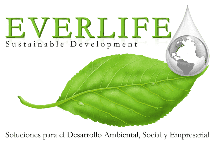 Everlife